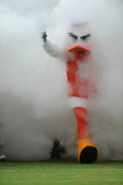 University of Miami Hurricanes Sebastian the Ibis lead's the team out of the tunnel in a game against the University of Central Florida Knights at...