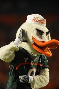 University of Miami Hurricane ibis Sebastian shows his team spirit in a game against the Florida A&M Rattlers at Land Shark Stadium on October 10,...