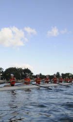 The Canes to Compete in Knecht Cup