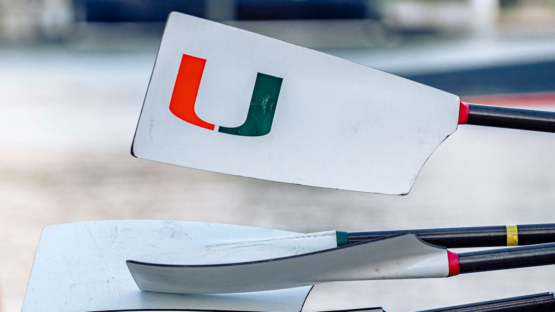 Canes Rowing Race Day Central: Oak Ridge Cardinal Invitational