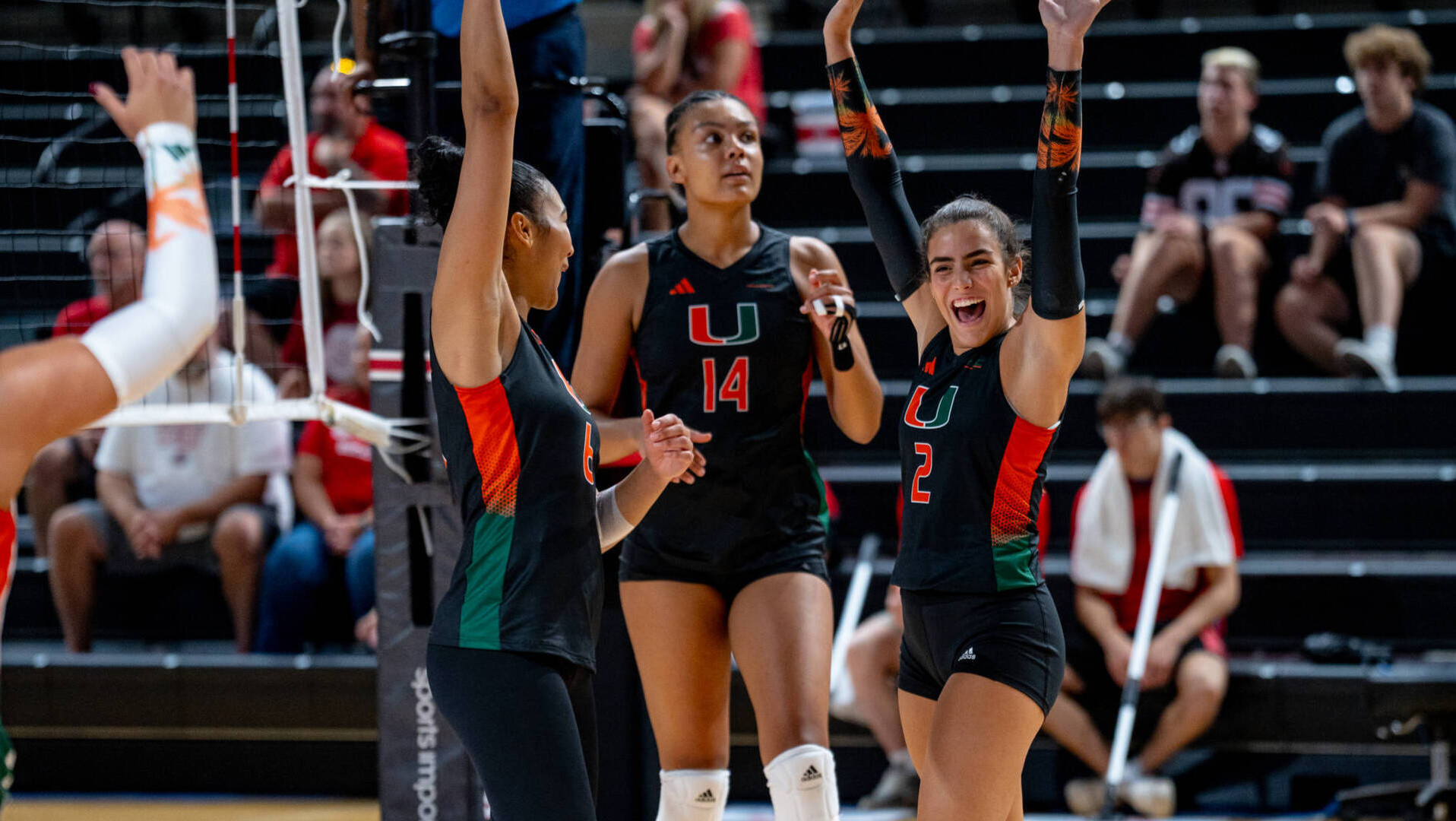 Canes Earn 3-0 Sweep over Bulls