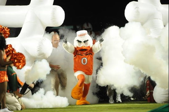 The University of Miami Hurricanes Ibis leads the team out of the tunnel in a game against the Oklahoma Sooners at Land Shark Stadium on October 3,...