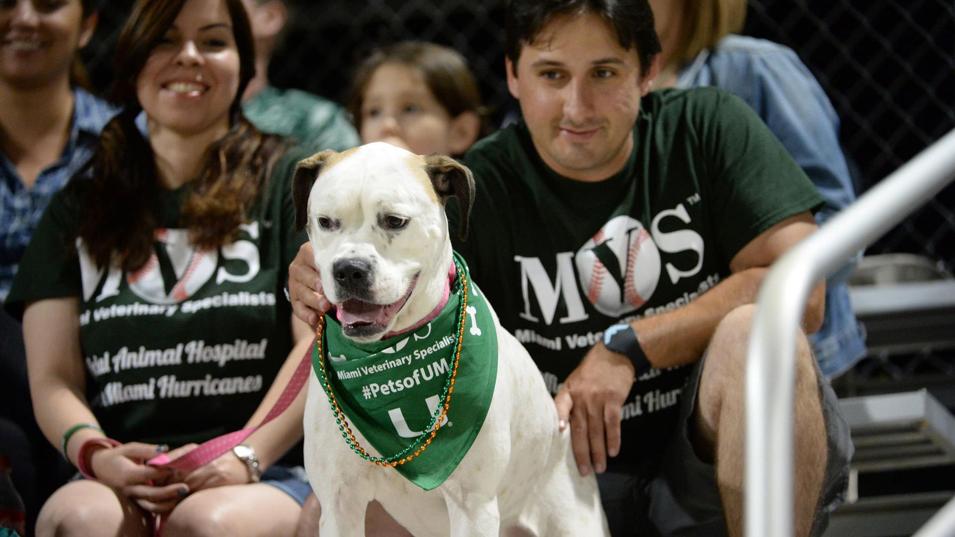 Third Annual 'Bark in the Park' Set for Saturday