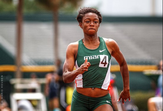 2014 Miami Invitational