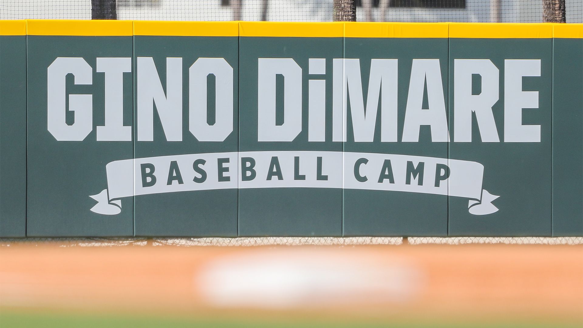Gino DiMare Baseball Camp Dates Announced