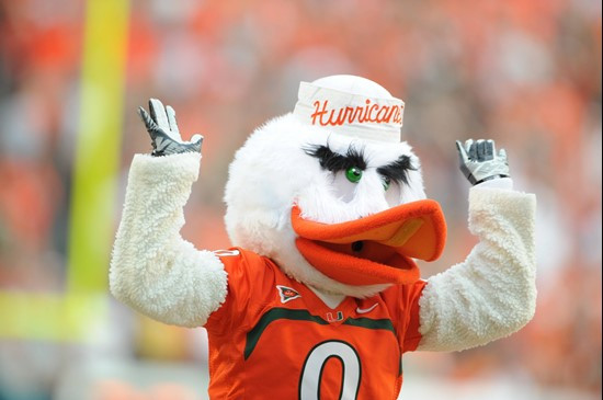 Sebastian the Ibis entertains the crowd in a game against the Kansas State Wildcats at Sun Life Stadium on September 24, 2011.  Photo by Steven Murphy