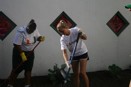 The Hurricanes Student Athlete Advisory Committee coordinated painting and planting as community service at Virrick Park in Coconut Grove. 120...