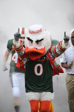 University of Miami mascot Sebastian the Ibis leads the team on the field in a game against the Deamon Deacons of Wake Forest at Dolphin Stadium on...