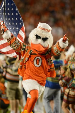 Sebastian the Ibis entertains the University of Miami Hurricanes in a game against the Florida State Seminoles at Sun Life Stadium on October 20,...