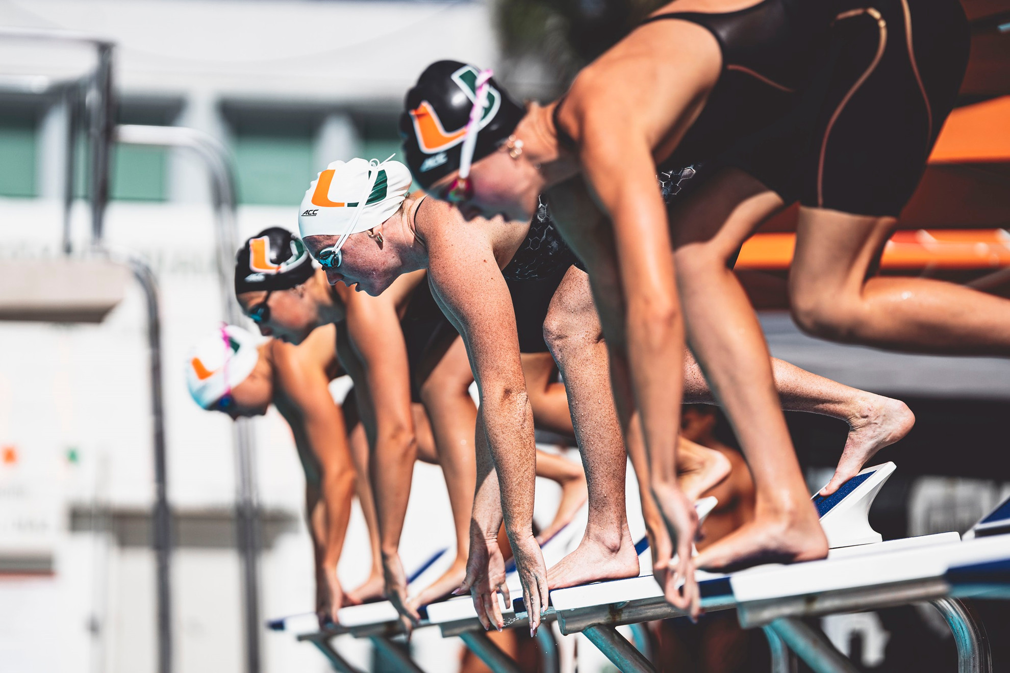 Photo by Sofiia Briantseva Swimming & Diving 2021-22