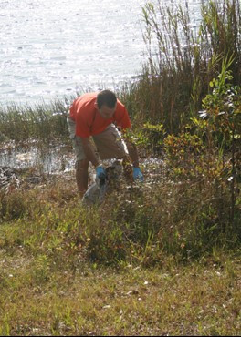 UM Staff, Coaches & Student Athletes volunteer at Amelia Earhart Park Community Service Project.