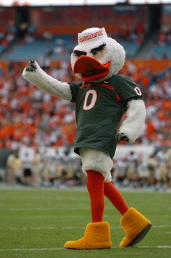 University of Miami mascot Sebastian the Ibis entertains fans in a game against the Deamon Deacons of Wake Forest at Dolphin Stadium on October 25,...