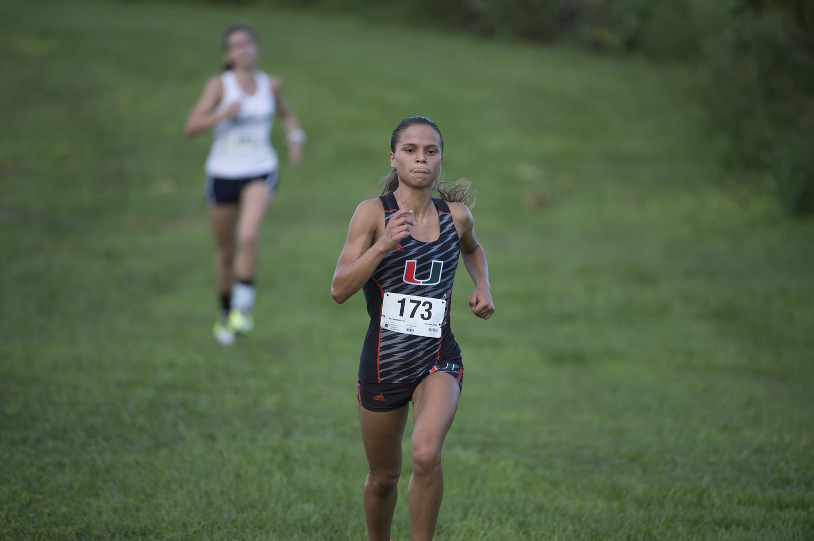 Cross Country Heads to USF Invitational