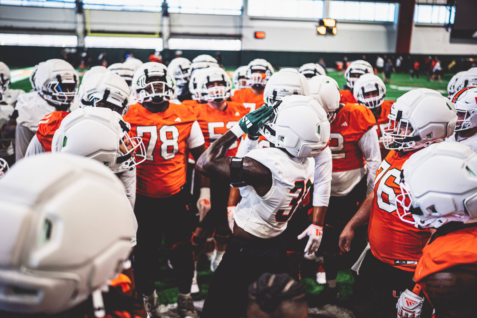 Back on Greentree Back on Greentree