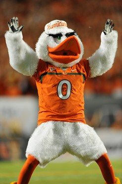 Sebastian the Ibis leads entertains fans in a game against the Ohio State Buckeyes at Sun Life Stadium on September 17, 2011. Photo by Steven...