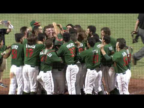 Jacob Heyward Walk Off Home Run vs Pittsburgh Game 2