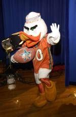Vote for Sebastian as National Mascot of the Year