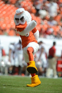 Sebastian the Ibis Entertains the Fans at the Game Between University of Miami against the North Carolina State Wolfpack at Sun Life Stadium on...