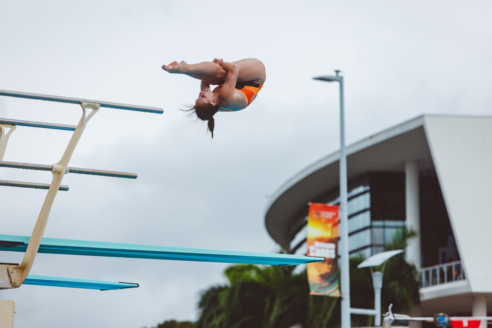 Swim / Dive Comes Up Just Short in Tallahassee