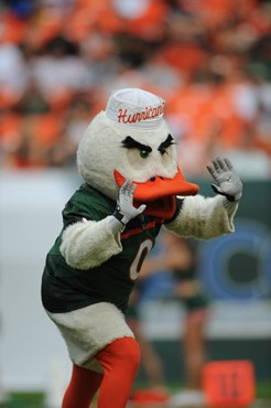 University of Miami mascot Sebastian the Ibis leads fans to chant â?oeC-A-N-E-Sâ?? in a game against the Deamon Deacons of Wake Forest at...