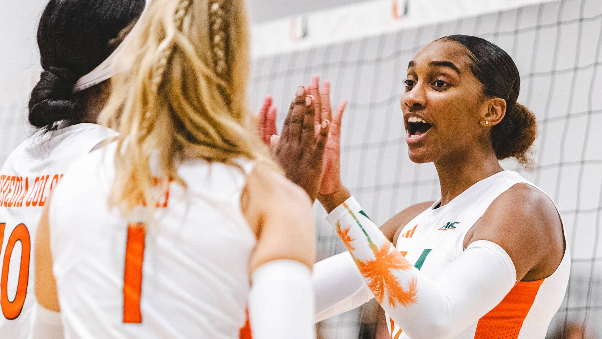 Seven Canes Named To All-ACC Academic Team