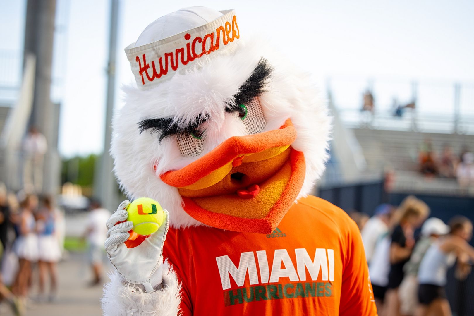 Photo Gallery: UM Night at the Miami Open