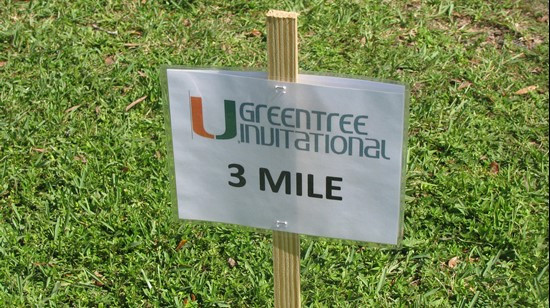 Greentree Invitational