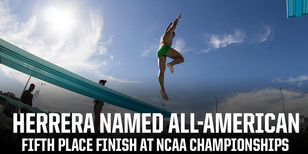 Herrera Named All-American at NCAA Championships