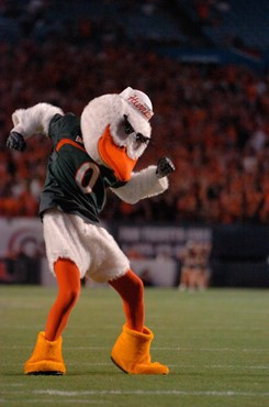 University of Miami mascot Sebastian the Ibis leads fans to chant &acirc;?oeC-A-N-E-S&acirc;?? in a game against the Virginia Tech Hokies at Dolphin...