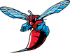 University of Miami Athletics