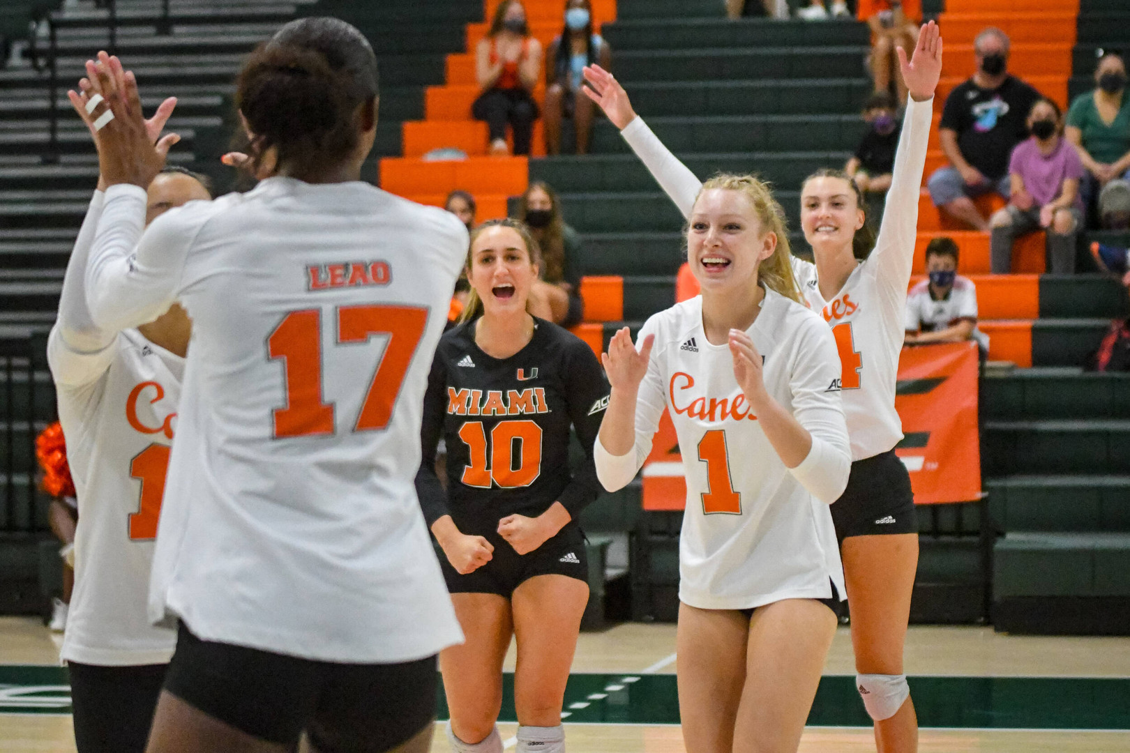 Volleyball Remains Unbeaten With 3-0 Victory