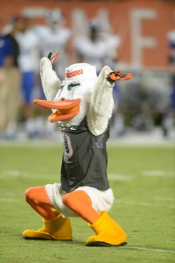 Sebastian the Ibis entertains the University of Miami Hurricane fans during a game against the Duke Blue Devils at Sun Life Stadium on September 27,...