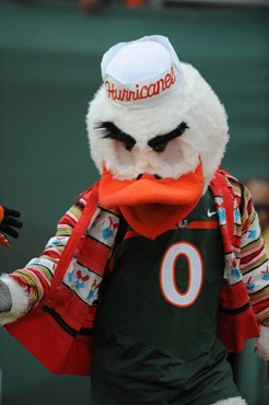 University of Miami mascot Sebastian the Ibis leads fans to chant â?oeC-A-N-E-Sâ?? in a game against the Deamon Deacons of Wake Forest at...